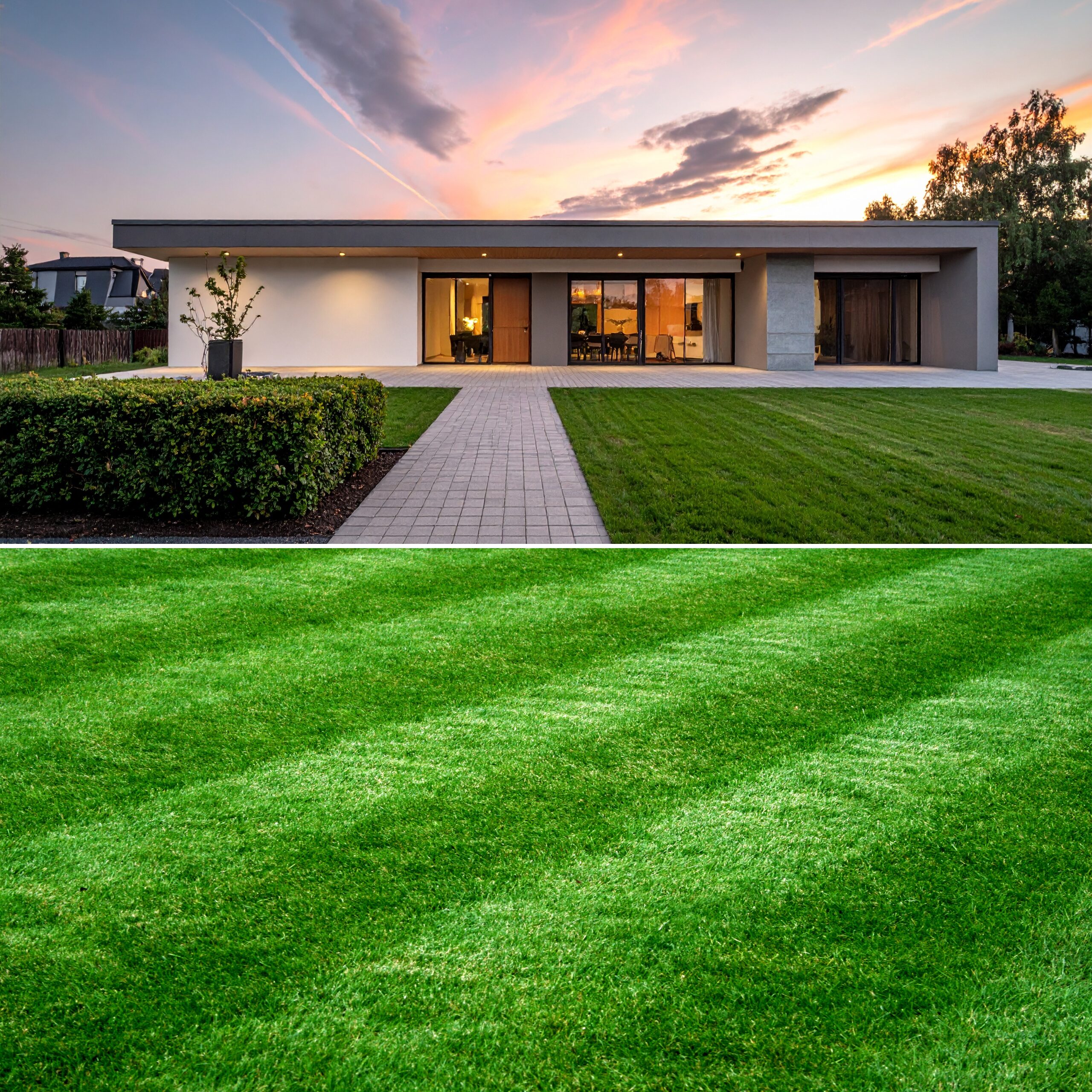 Nawóz do Trawnika 5L – Gęsty, Zielony i Zdrowy Trawnik - obrazek 2