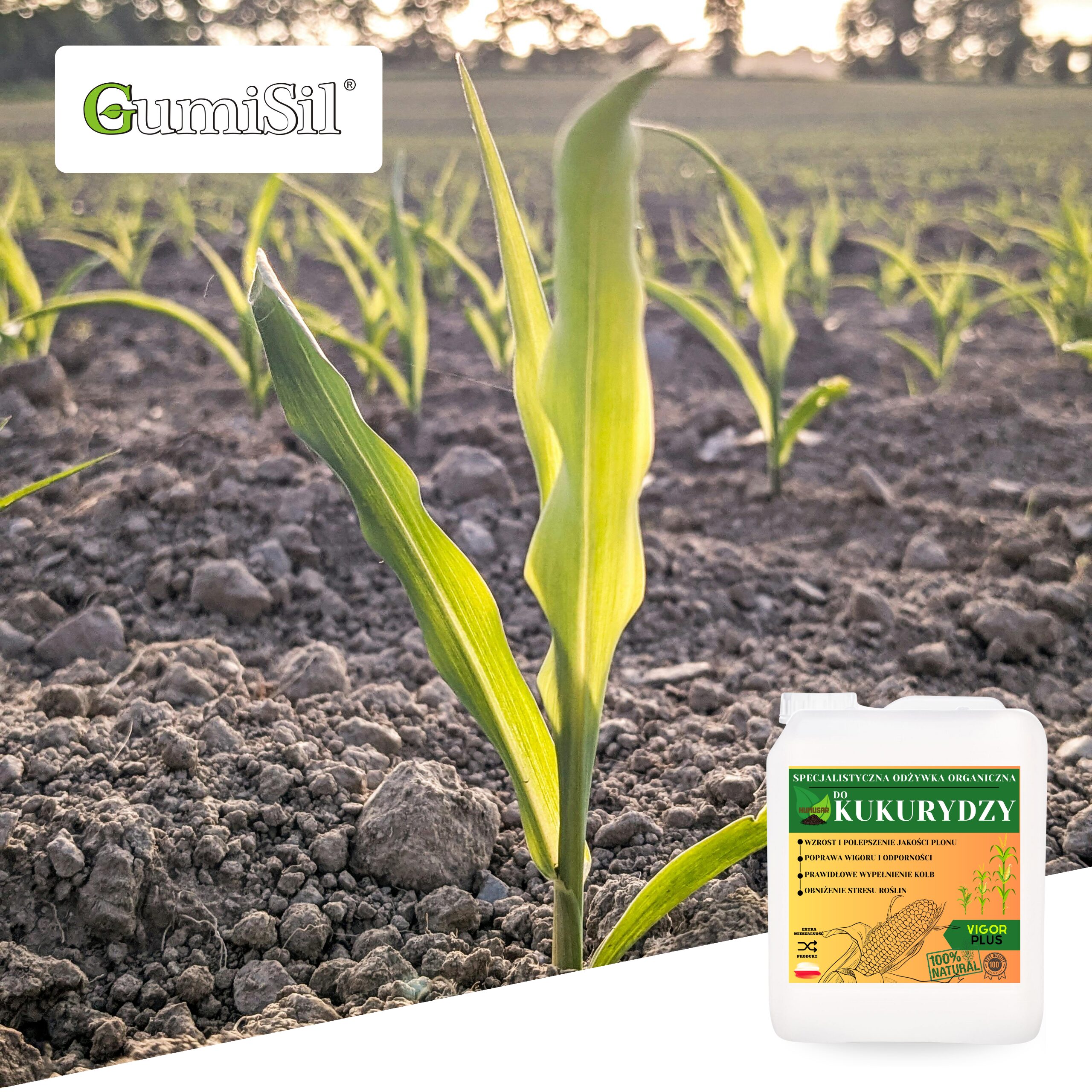 HUMUSAR VIGOR PLUS 5L – Skuteczna Odżywka do Kukurydzy dla Wyższych Plonów - obrazek 4