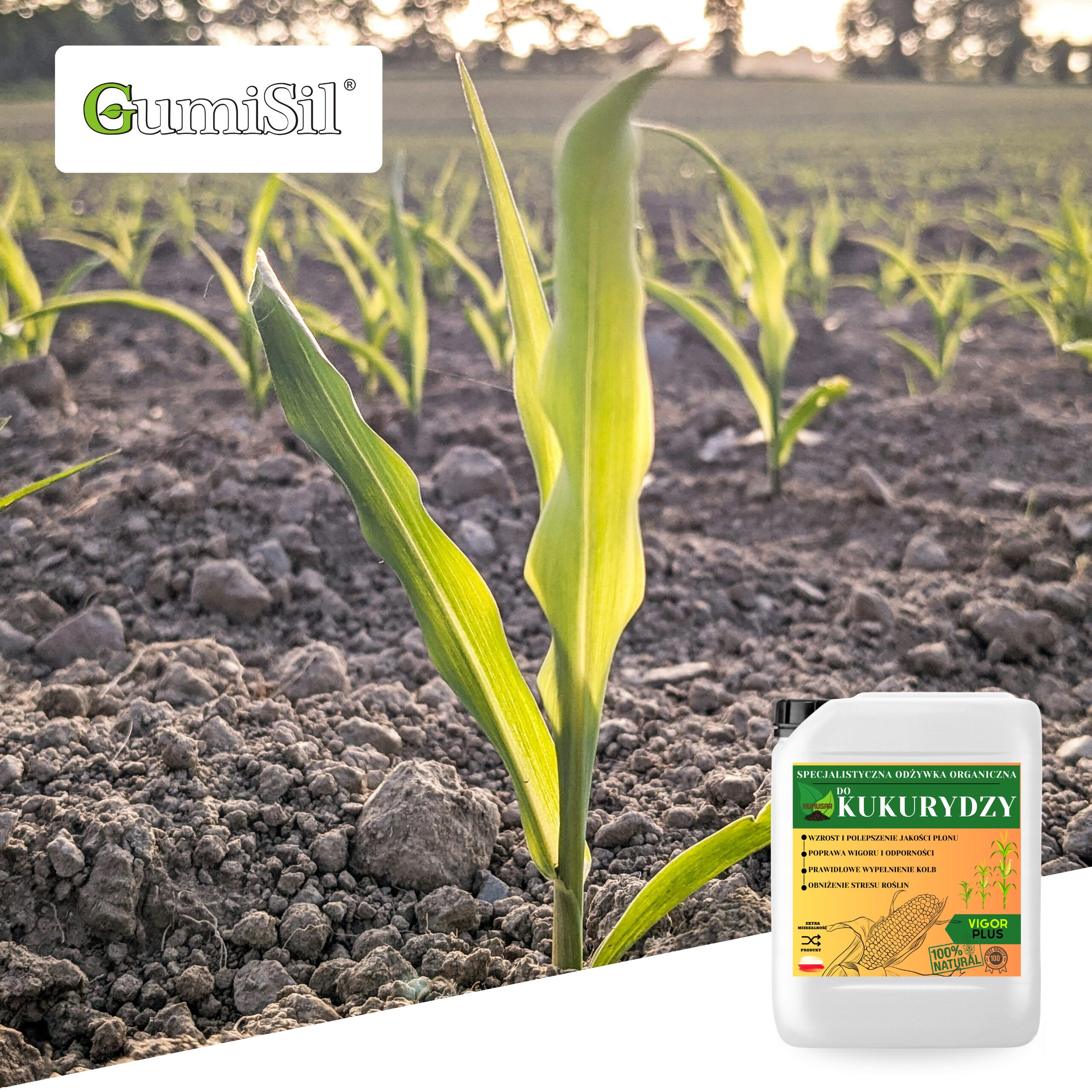 HUMUSAR VIGOR PLUS 10L – Profesjonalna Odżywka do Kukurydzy - obrazek 4