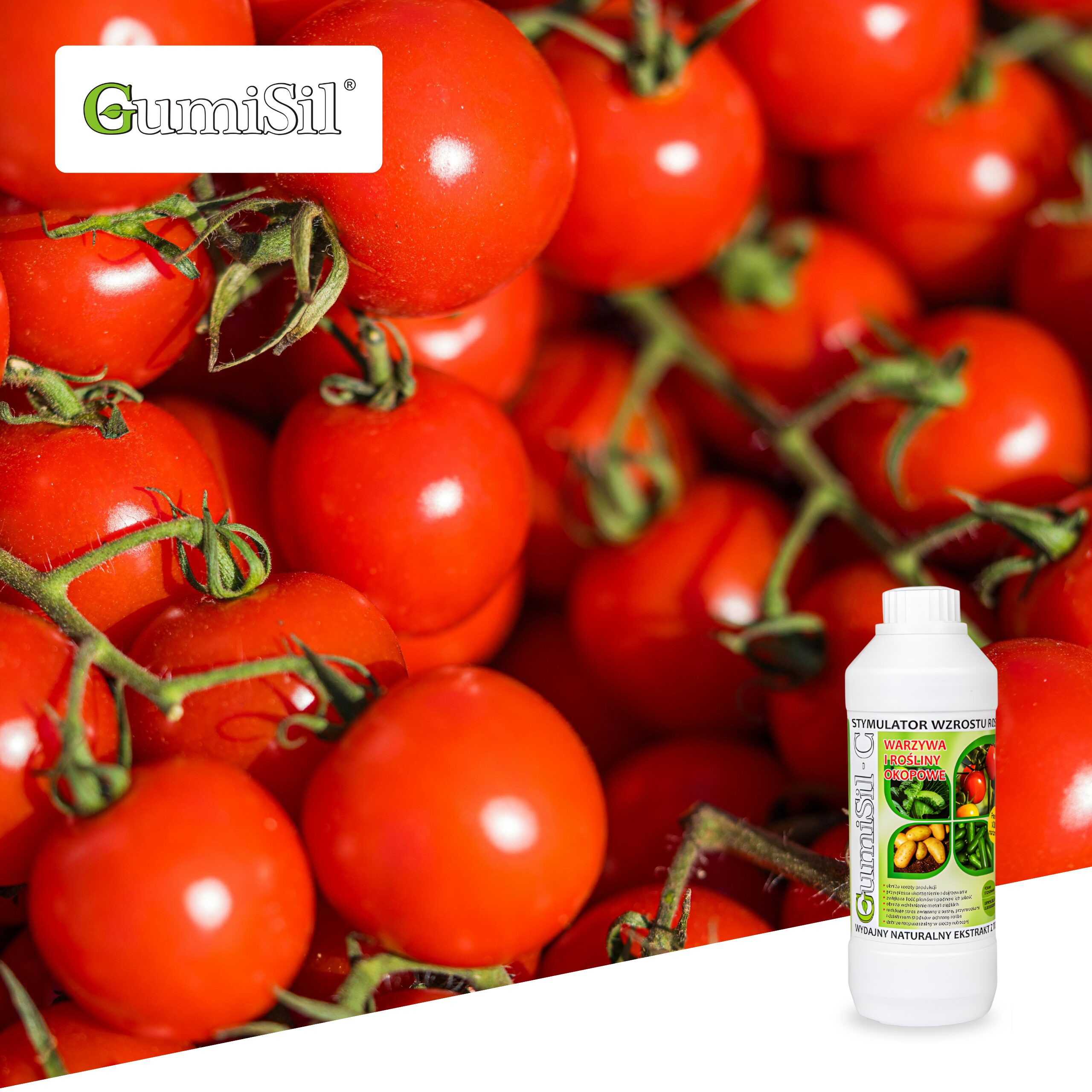 GumiSil-C + Mocne Korzenie – Aktywator wzrostu korzeni | Maksymalne pobieranie składników - obrazek 3