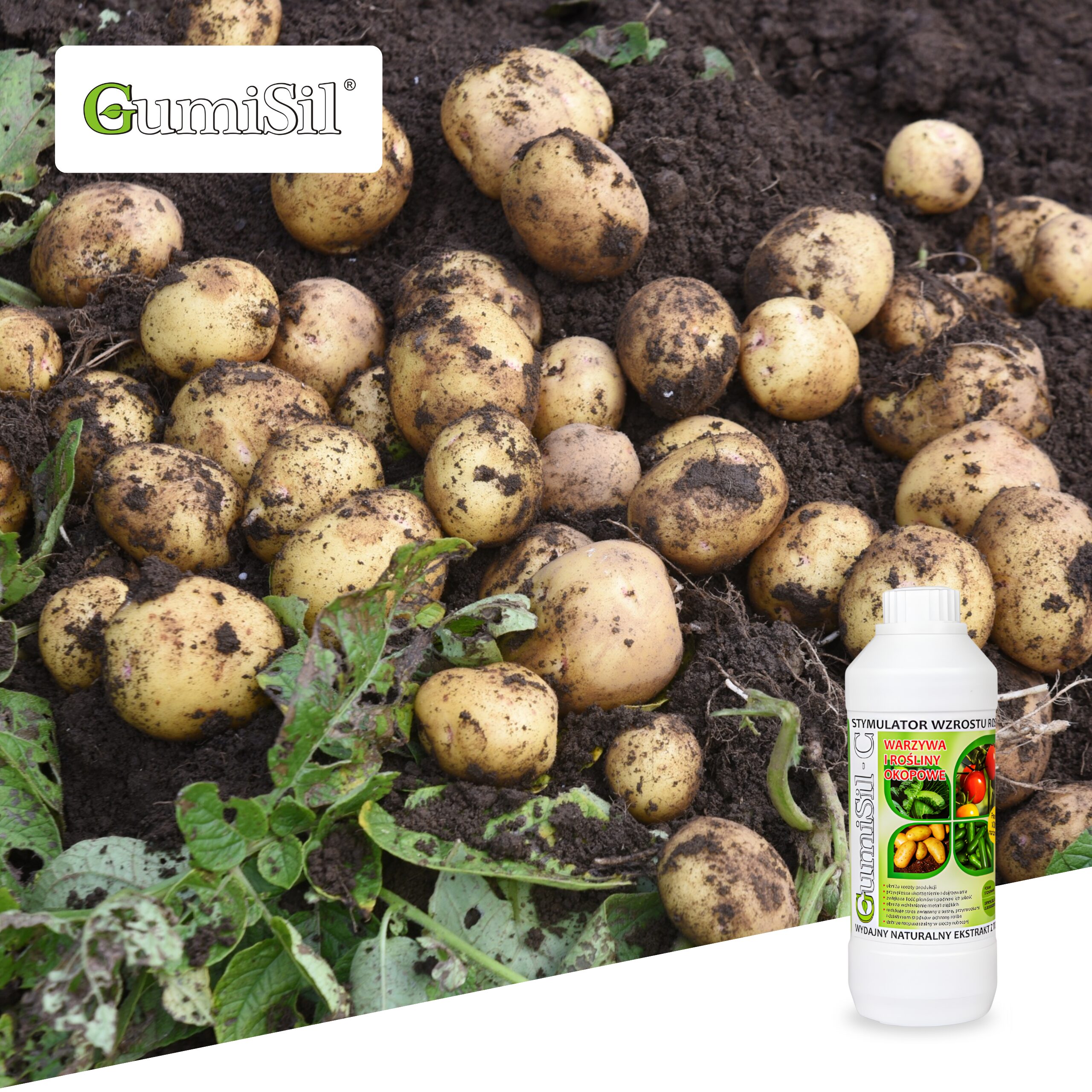 GumiSil-C + Mocne Korzenie – Aktywator wzrostu korzeni | Maksymalne pobieranie składników - obrazek 4