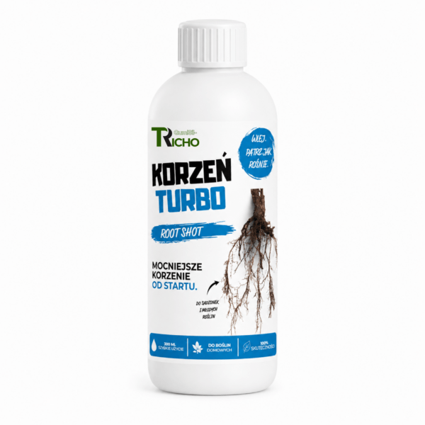 Korzeń turbo