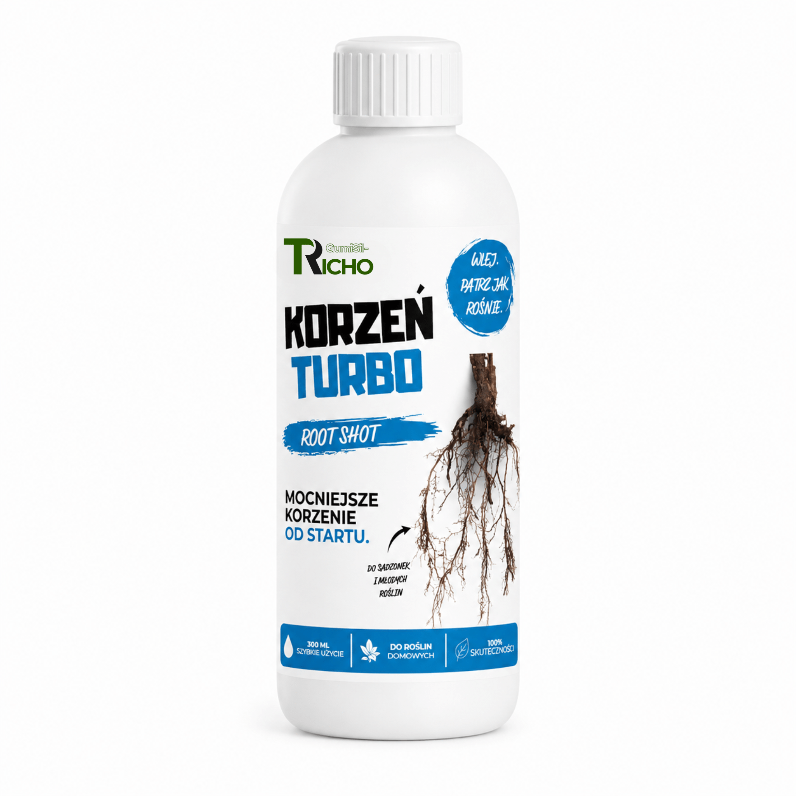 Korzeń turbo