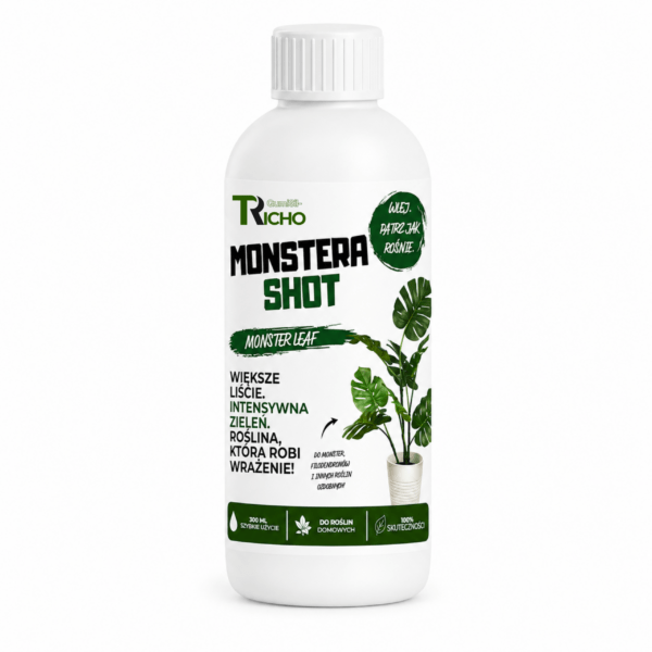 Monstera shot